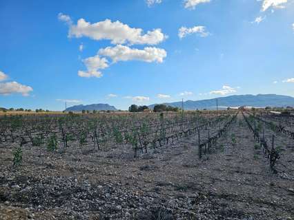Parcela rústica en venta en Salinas