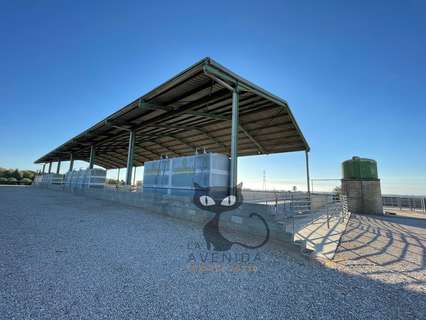 Local comercial en venta en Picassent