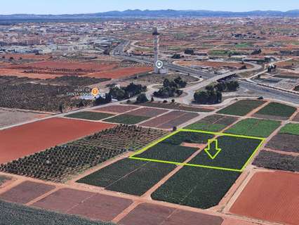 Parcela rústica en venta en Catarroja