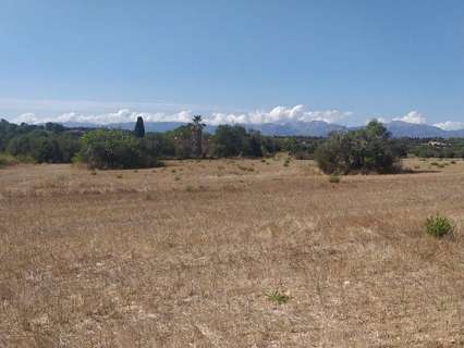 Parcela rústica en venta en Algaida