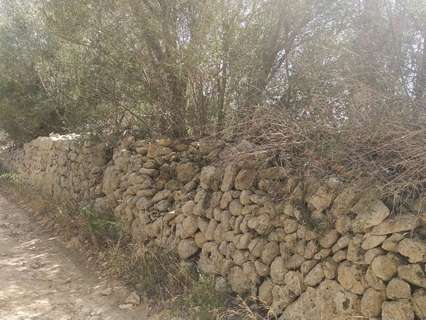 Parcela rústica en venta en Algaida