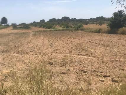 Parcela rústica en venta en Llucmajor