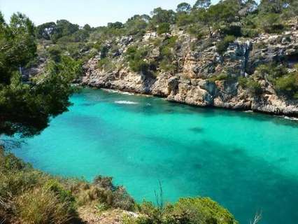 Parcela rústica en venta en Llucmajor