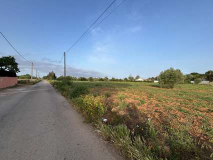 Parcela rústica en venta en Llucmajor
