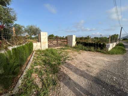 Parcela rústica en venta en Llucmajor