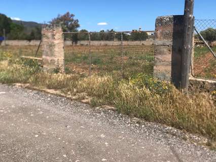 Parcela rústica en venta en Llucmajor
