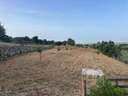 Parcela rústica en venta en Llucmajor