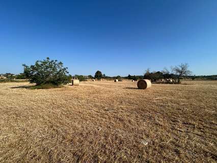Parcela rústica en venta en Montuïri