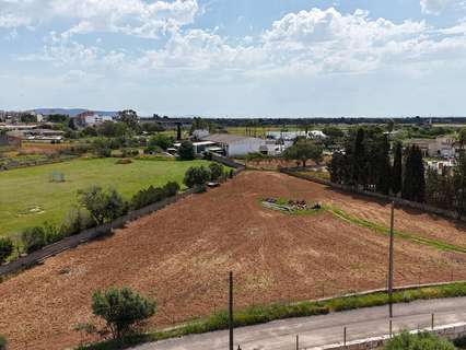 Parcela rústica en venta en Llucmajor