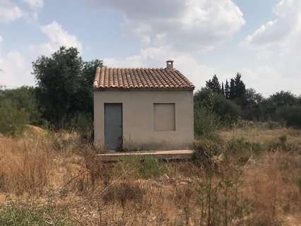 Parcela rústica en venta en Llucmajor