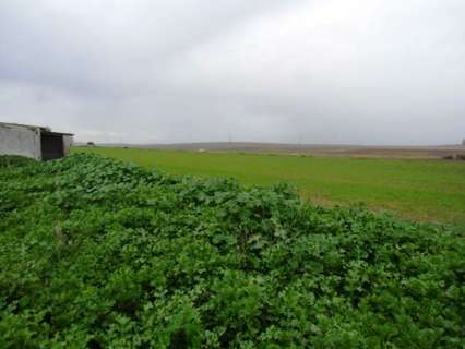 Parcela rústica en venta en Jerez de la Frontera