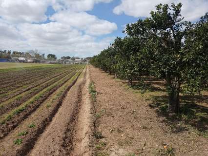 Casa rústica en venta en Jerez de la Frontera