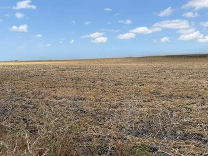 Parcela rústica en venta en Jerez de la Frontera