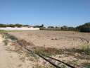 Parcela rústica en venta en Chiclana de la Frontera