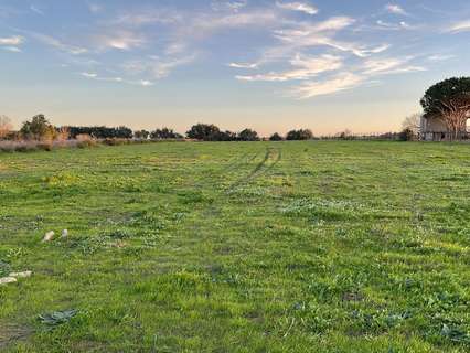 Parcela rústica en venta en Chiclana de la Frontera