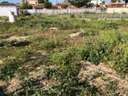Parcela rústica en venta en Chiclana de la Frontera