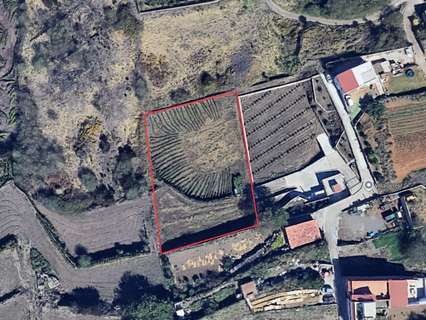 Parcela rústica en venta en Los Realejos