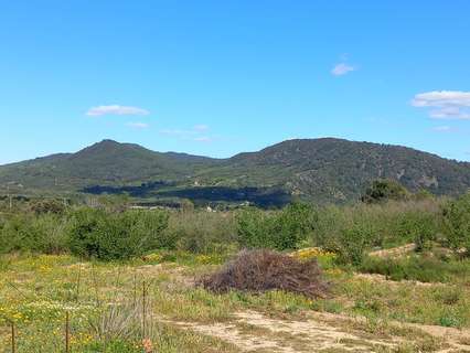 Parcela rústica en venta en L'Aleixar
