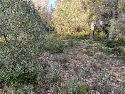 Piso en venta en Vallmoll