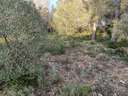 Piso en venta en Vallmoll
