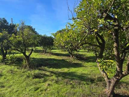 Parcela urbana en venta en Espartinas