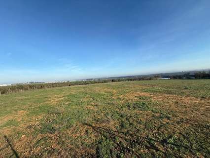 Parcela rústica en venta en Pilas