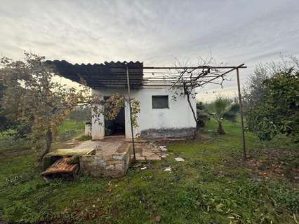 Parcela rústica en venta en Bollullos de la Mitación