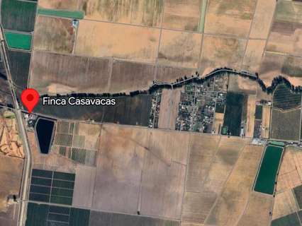 Parcela rústica en venta en La Rinconada