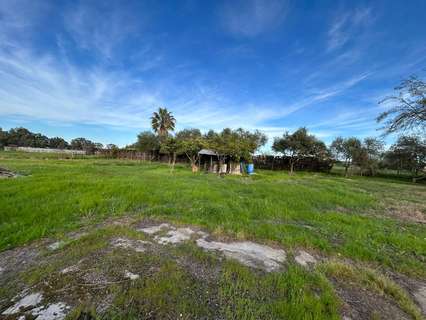 Parcela rústica en venta en La Rinconada