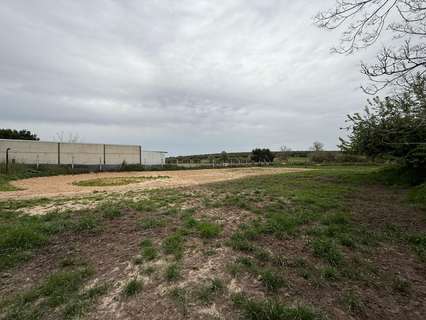 Parcela rústica en venta en Pilas