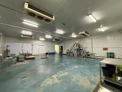 Nave industrial en venta en Pilas