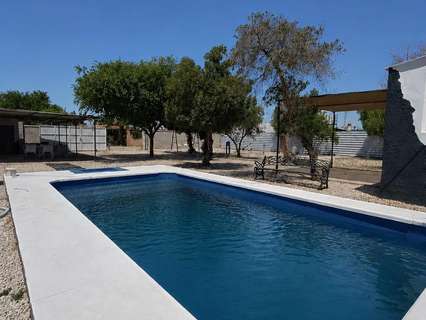 Parcela rústica en venta en Los Palacios y Villafranca rebajada