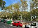 Local comercial en venta en Sevilla