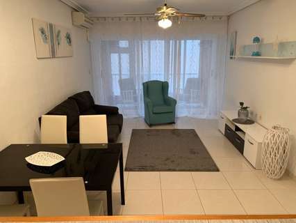 Apartamento en alquiler en Torrevieja