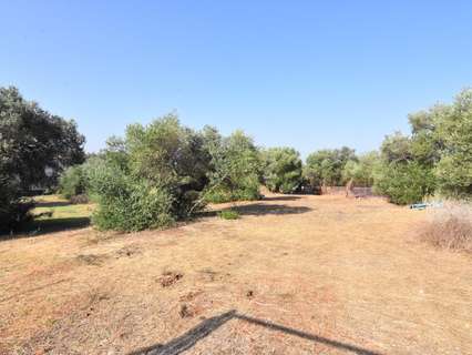 Parcela rústica en venta en Dos Hermanas