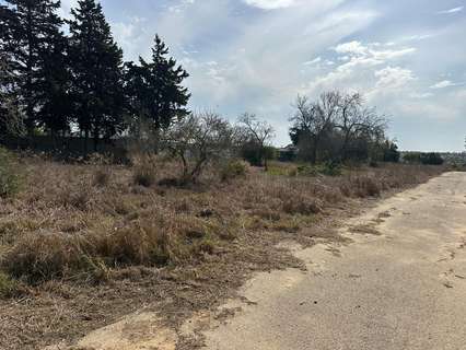 Parcela rústica en venta en Chiclana de la Frontera