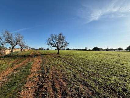 Parcela rústica en venta en Felanitx