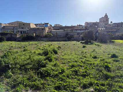 Parcela rústica en venta en Montuïri