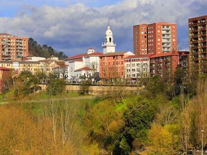 Local comercial en venta en Basauri