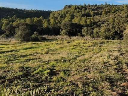 Parcela urbana en venta en Alcalalí