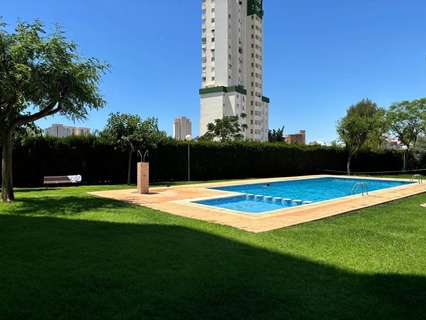 Apartamento en alquiler en Benidorm