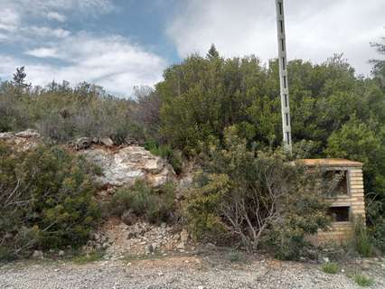 Parcela rústica en venta en Alginet