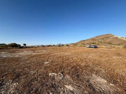 Parcela en venta en Novelda zona Novelda
