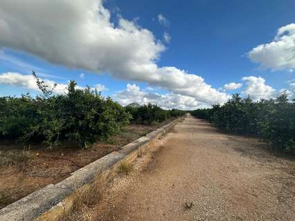 Parcela rústica en venta en Ondara