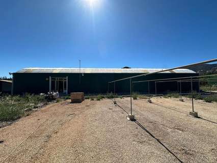 Parcela rústica en venta en Pedreguer