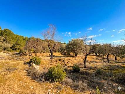 Parcela rústica en venta en Biar