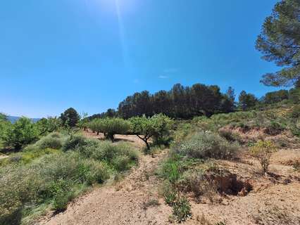 Parcela rústica en venta en Castalla