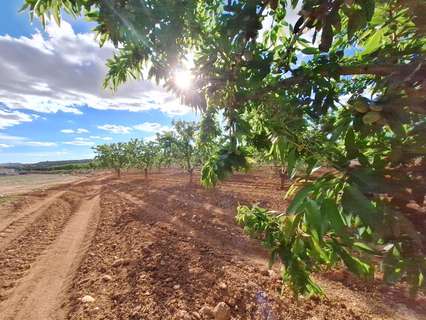 Parcela rústica en venta en El Pinós/Pinoso