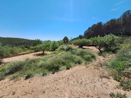 Parcela rústica en venta en Castalla