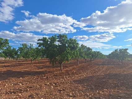 Parcela rústica en venta en El Pinós/Pinoso